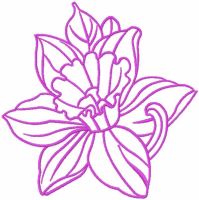 Pink contour lily free embroidery design