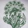 Dandelion dark green embroidered design