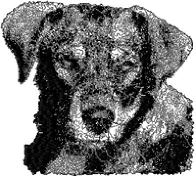 Dachshund dog free machine embroidery design