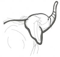 Elephant sketch 2 embroidery design