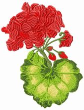 Geranium flower embroidery design