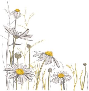 Chamomile meadow embroidery design