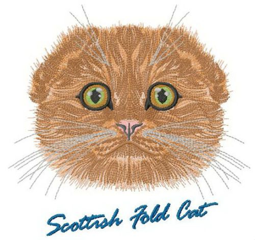 Scottish fold cat machine embroidery design