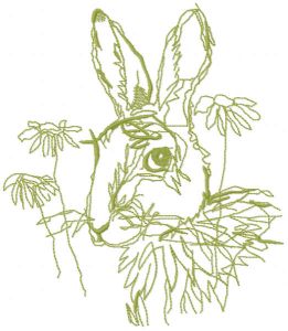 Bunny flower sketch
