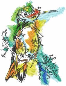 Robin watercolor drawing