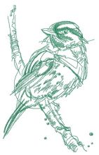 Robin bird sketch embroidery design