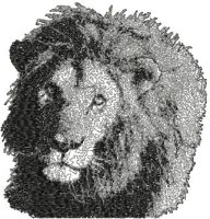 Lion free embroidery design Odyssey Into Wild
