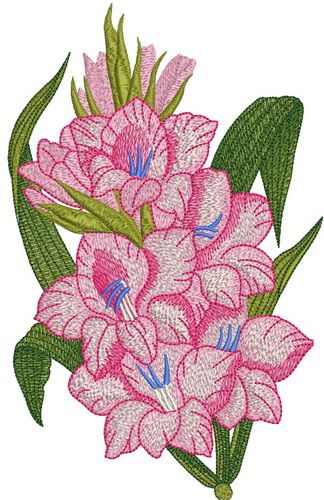 Bouquet of gladioluses machine embroidery design