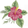 Hibiscus flower embroidery design