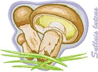 Suillus luteus embroidery design