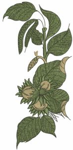 Hazelnut 2 embroidery design