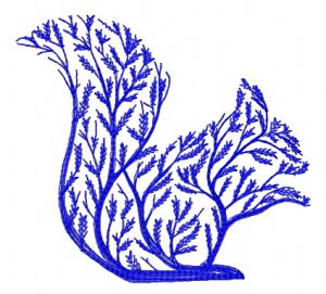 Tree squirrel embroidery design