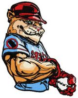 Baseball wildcat embroidery design