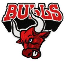Bulls embroidery design