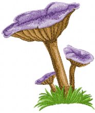 Violet Мushroom