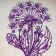 Dandelion violet embroidered design