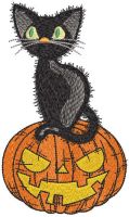 Black cat on pumpkin free embroidery design