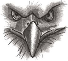 Eagle gaze embroidery design