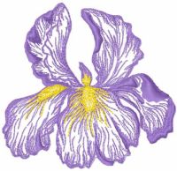 Iris flower free machine embroidery design
