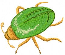 Green Bug machine embroidery design