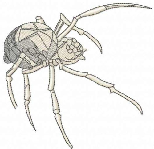 Black widow spider free embroidery design