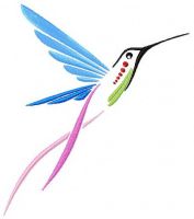 Colibri embroidery design