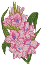 Bouquet of gladioluses embroidery design