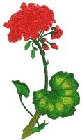 Geranium embroidery design