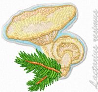 Lactarius resimus embroidery design