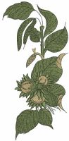 Hazelnut 2 embroidery design