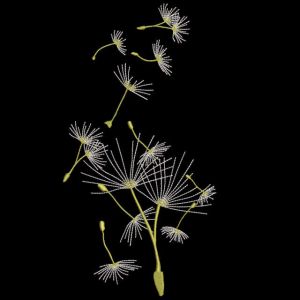 Dandelion seeds blown embroidery design