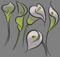 Calla Zantedeschia flowers embroidery design