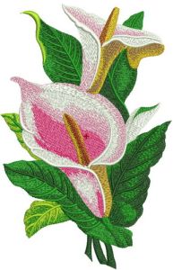 Pink calla lilies embroidery design