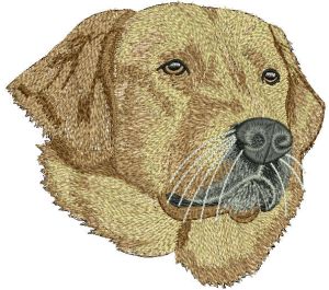Golden retriever embroidery design
