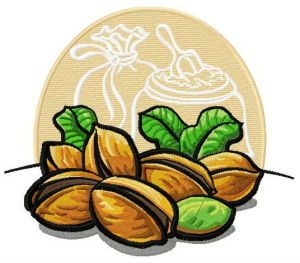 Pistachios embroidery design