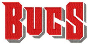 Tampa Bay Buccaneers wordmark logo embroidery design