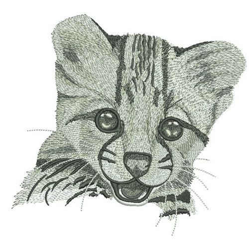  Young cheetah portrait machine embroidery design