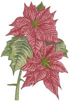 Poinsettia flower embroidery design