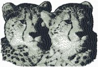Two Snow Leopards free machine embroidery design