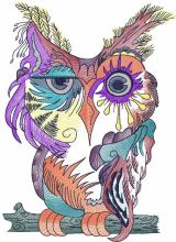 Owl in color