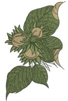 Hazelnut 3 embroidery design