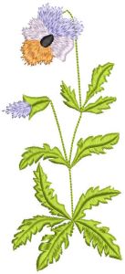 Motif de broderie tricolore Viola
