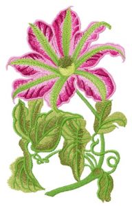 Clematis embroidery design