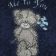 Blue nose bear on blue embroidered towel