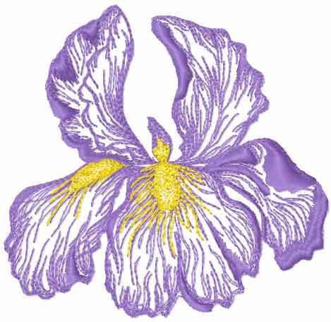 Iris flower free embroidery design