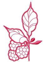Berries free embroidery design