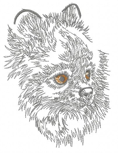 Pomeranian machine embroidery design