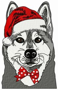 Husky before Xmas embroidery design