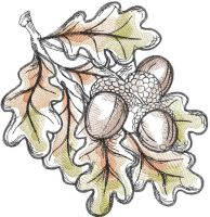 Acorns fall colors embroidery design
