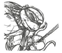 Raphael sketch embroidery design